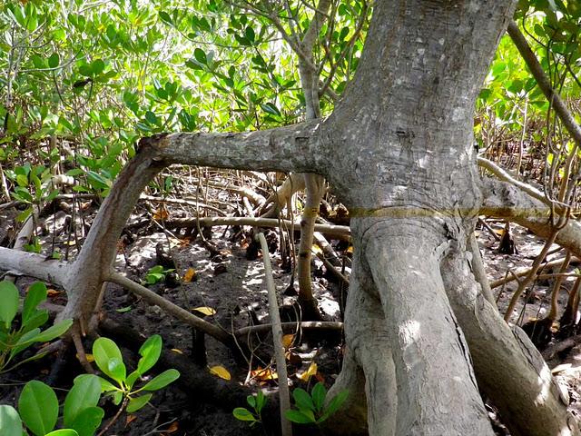 Hasta las rodillas en el fango