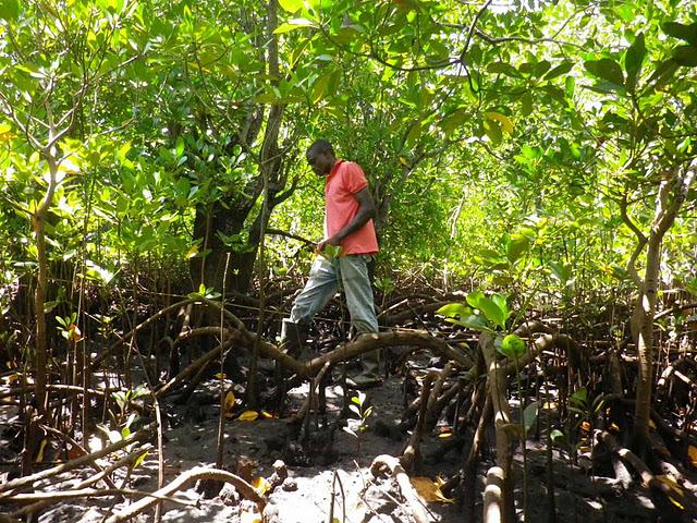 Hasta las rodillas en el fango