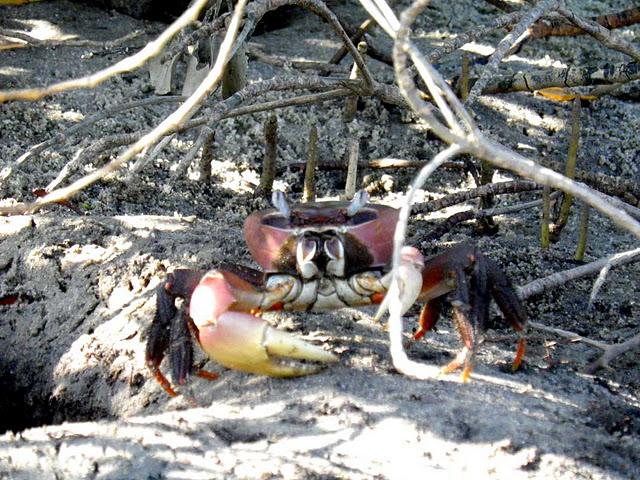 Hasta las rodillas en el fango