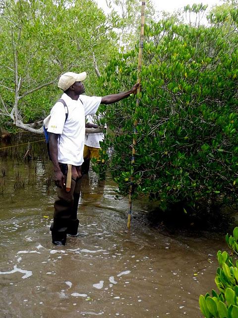 Hasta las rodillas en el fango