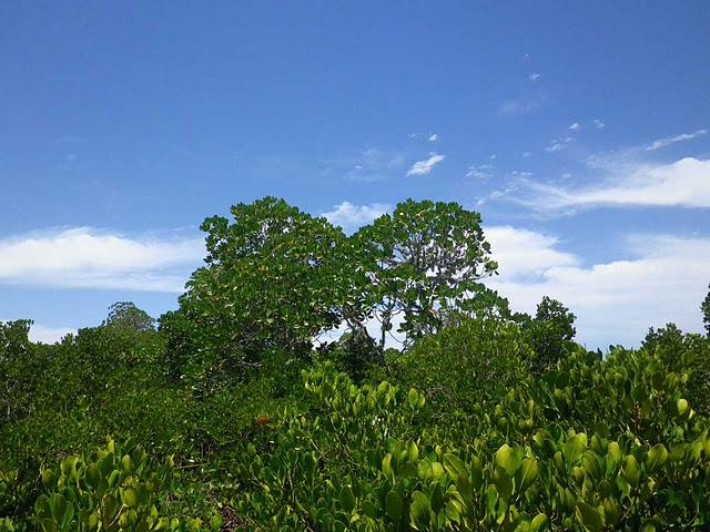 Hasta las rodillas en el fango