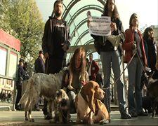 Concentración De Animalistas Ante Metro Bilbao
