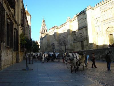 I ENCUENTRO POETAS ANDALUCES DE AHORA, CÓRDOBA 26-11-2011