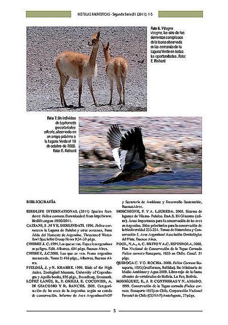 Trabajos de investigación publicados recientemente por el autor: Nueva localidad para la gallareta cornuda (Fulica cornuta) en la II Región, Antofagasta, República de Chile