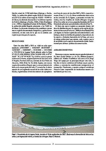 Trabajos de investigación publicados recientemente por el autor: Nueva localidad para la gallareta cornuda (Fulica cornuta) en la II Región, Antofagasta, República de Chile