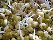 Transgénicos, salud medio ambiente