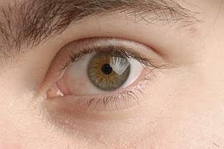 La mejor alimentación para los ojos La mejor alimentación para los ojos