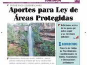 Proyecto Código Procedimientos Constitucionales Bolivia: Comentarios Observaciones preliminares (Parte final)