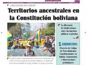 Proyecto Código Procedimientos Constitucionales Bolivia: Comentarios Observaciones preliminares (Parte