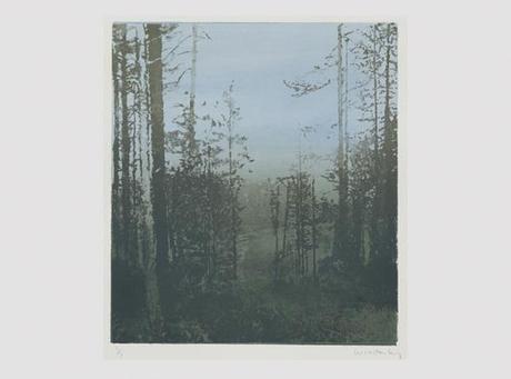 winstanley-landscape-32