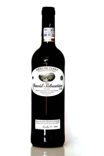 David de Sebastian 2009