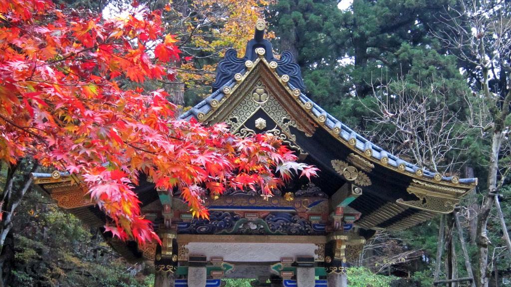 Momiji en Nikko