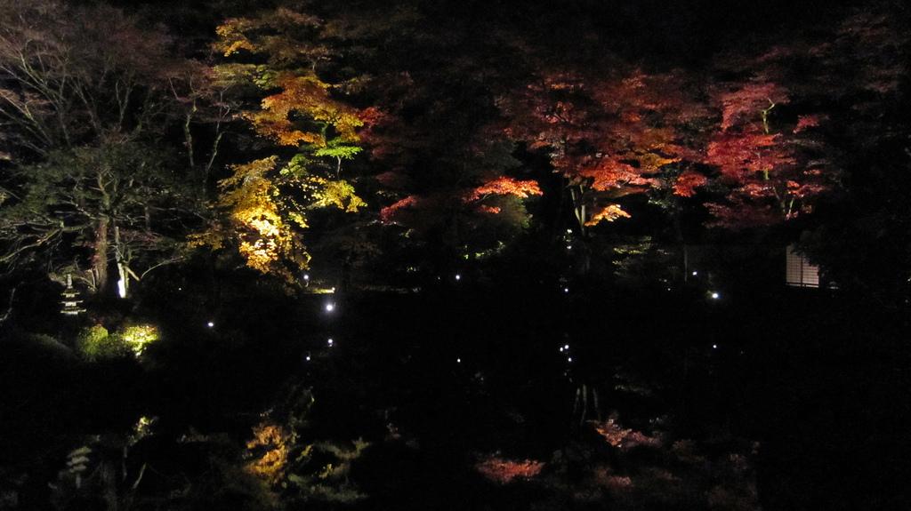 Momiji en Nikko