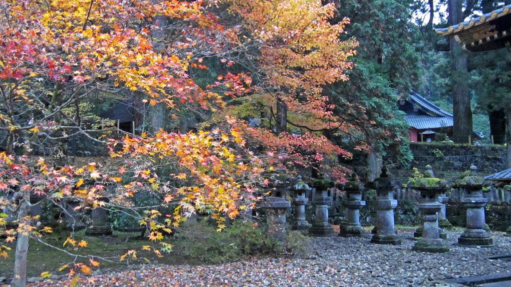 Momiji en Nikko