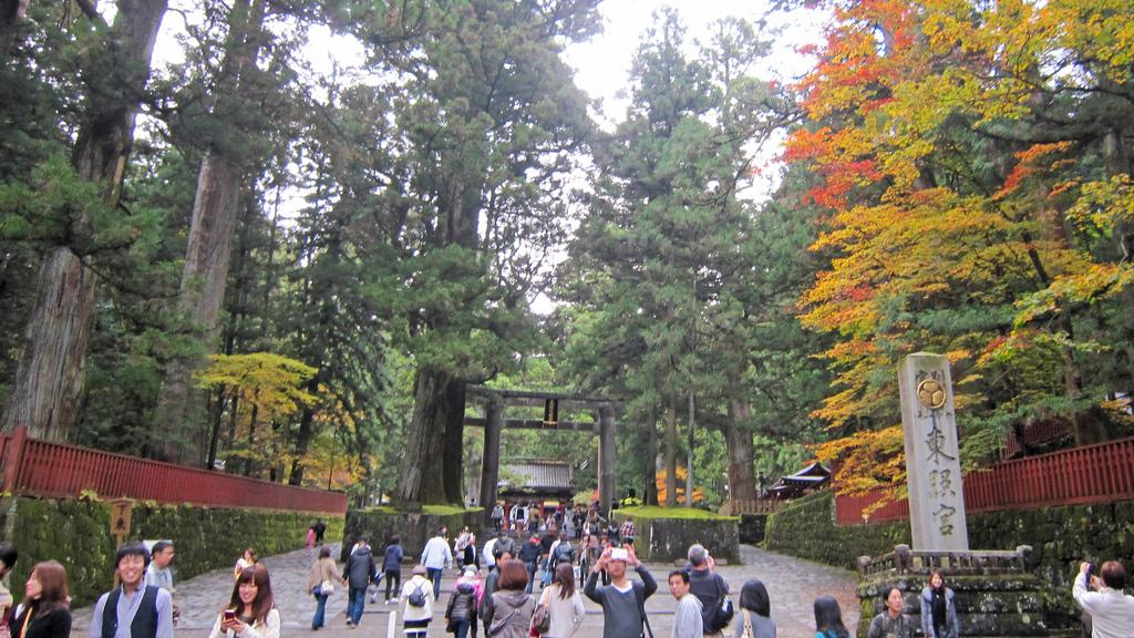 Momiji en Nikko