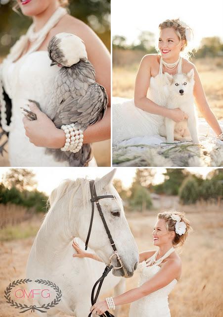 Fotos de boda, con animales