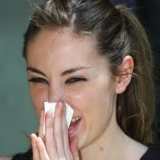 rinitisalergia Los síntomas de la rinitis alérgica