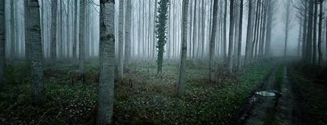 Enlaces de la semana (47/11)