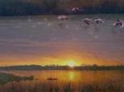 humedal artificial Veta Palma