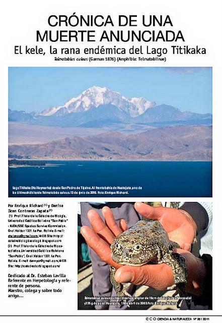 Trabajos de investigación publicados recientemente por el autor: El Kele (Telmatobius culeus), la rana endémica del Lago Titikaka…(La Paz, Bolivia)