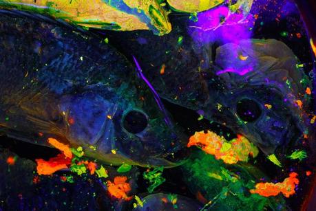 Remains in the End Times