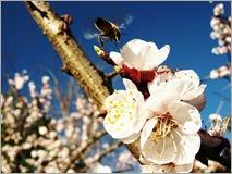 4918820846_624f755fed