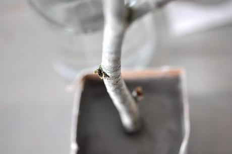 DIY: Árbol de Navidad con una rama y una base de cemento