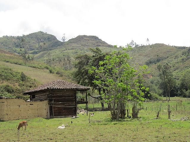 TREKKING A LAS MISTERIOSAS RUINAS DE LA CONGONA