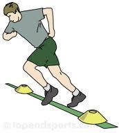 TEST DE RAST: METODOLOGÍA Y CÁLCULO DE RESULTADOS