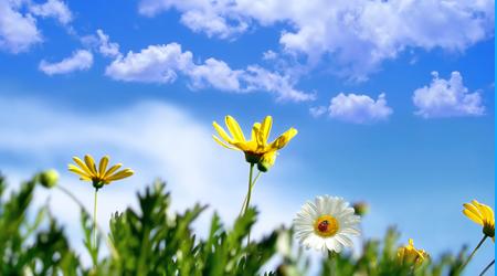 Deja De Vivir Como Esclavo