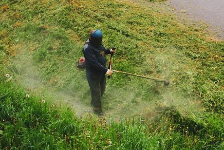 Beneficios del desbroce de fincas Beneficios del desbroce de fincas