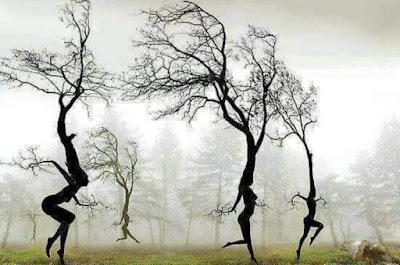 ORGÍA EN EL EXTRARRADIO.