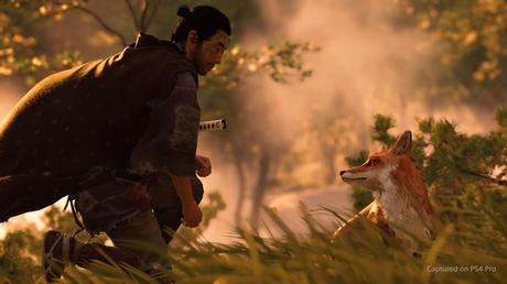 La relación de la historia y las guerras al servicio de la narrativa en los videojuegos 50120214172_920e929e2c_k