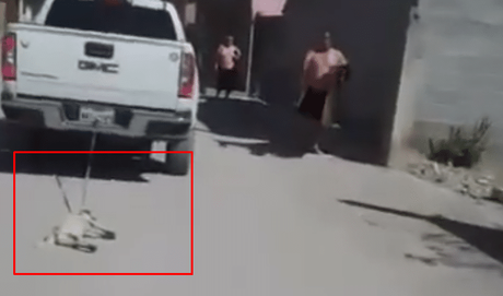 (video) Maltrato a un perro en el Día del Perro: arrastrado por una camioneta en Rioverde