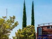 Sale será innovador atractivo Luis Potos