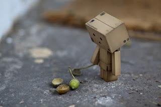 De la desconfianza y la desilusión