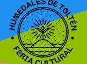 Feria Cultural Humedales Toltén: artesanía gastronomía Araucanía Centro Moneda