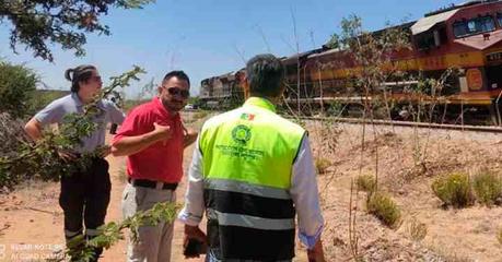 Descarrilamiento de tren en San Juanico: Protección Civil descarta daños personales y riesgos a la población