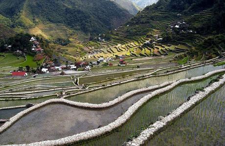Terrazas de arroz de Batad