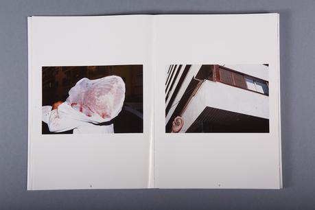 El Ficus del Parterre