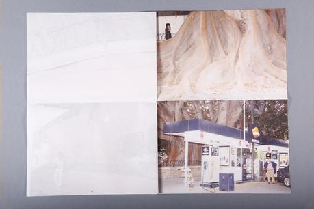 El Ficus del Parterre y las búsquedas de Ricardo Cases