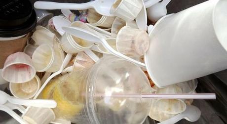Los plásticos de un solo uso deben ser eliminados en un estilo de vida sostenible