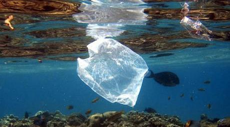 Misión, reducir el plástico en nuestra vida: la cocina (1) Las bolsa de plástico dañan el océano y su ecosistema