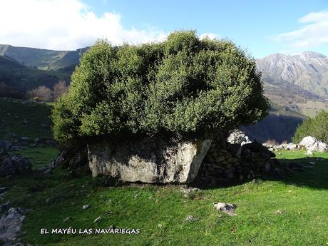 Riospaso-Güé Martínez-Los Praos-Las Planas-La Vaḷḷota-Las Navariegas