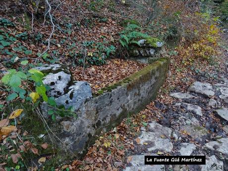 Riospaso-Güé Martínez-Los Praos-Las Planas-La Vaḷḷota-Las Navariegas