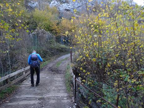Riospaso-Güé Martínez-Los Praos-Las Planas-La Vaḷḷota-Las Navariegas