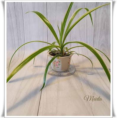 MACETERO RECICLADO MACETERO RECICLADO