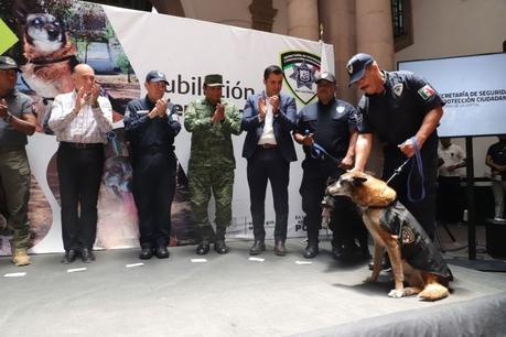 Cuatro elementos caninos de la Secretaría de Seguridad y Protección Ciudadana Municipal de San Luis Capital se jubilan