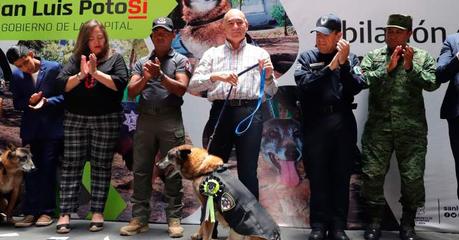 Cuatro elementos caninos de la Secretaría de Seguridad y Protección Ciudadana Municipal de San Luis Capital se jubilan
