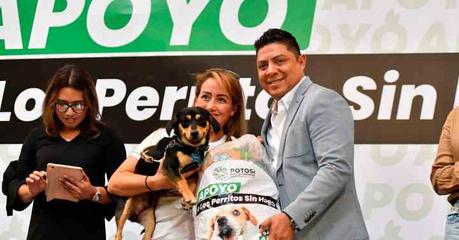Gobierno de San Luis Potosí entrega 14 toneladas de alimento para perros en situación de calle
